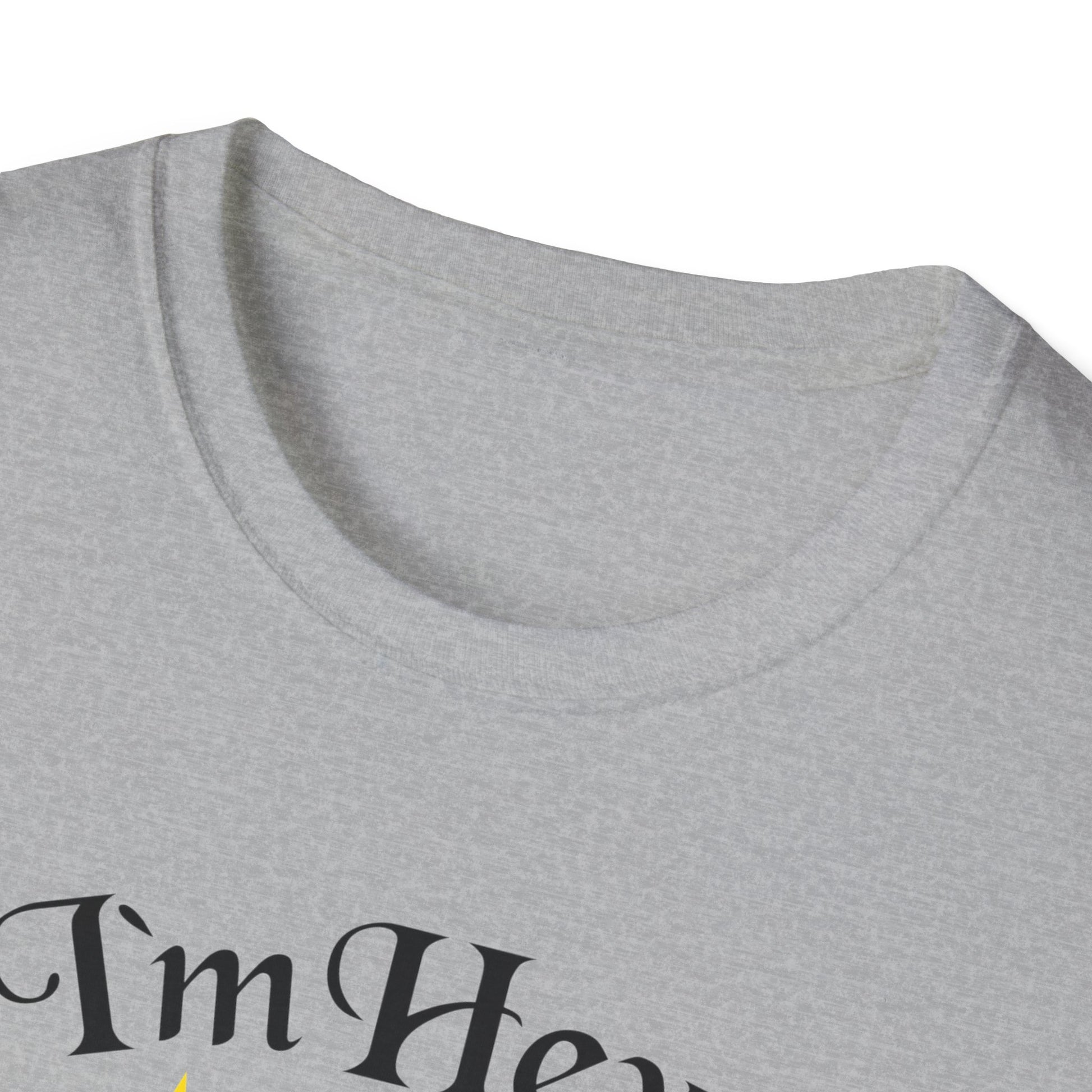 tshirt 'i'm hexy and i know it' doppeldeutig wortwitz basierend auf 'i'm sexy and i know it' hexe mystisch auf besen