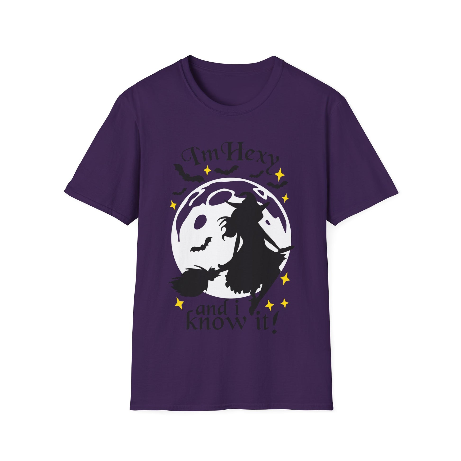tshirt 'i'm hexy and i know it' doppeldeutig wortwitz basierend auf 'i'm sexy and i know it' hexe mystisch auf besen