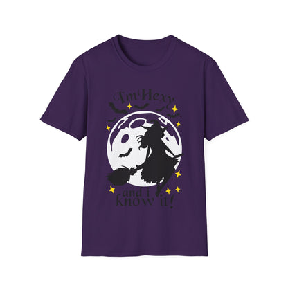 tshirt 'i'm hexy and i know it' doppeldeutig wortwitz basierend auf 'i'm sexy and i know it' hexe mystisch auf besen