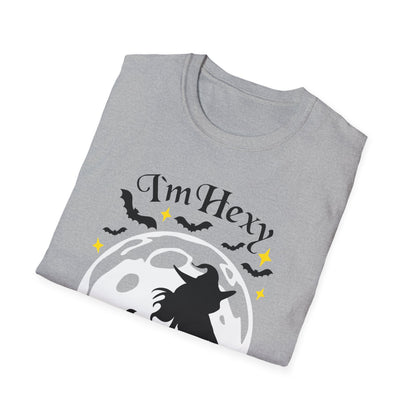 tshirt 'i'm hexy and i know it' doppeldeutig wortwitz basierend auf 'i'm sexy and i know it' hexe mystisch auf besen