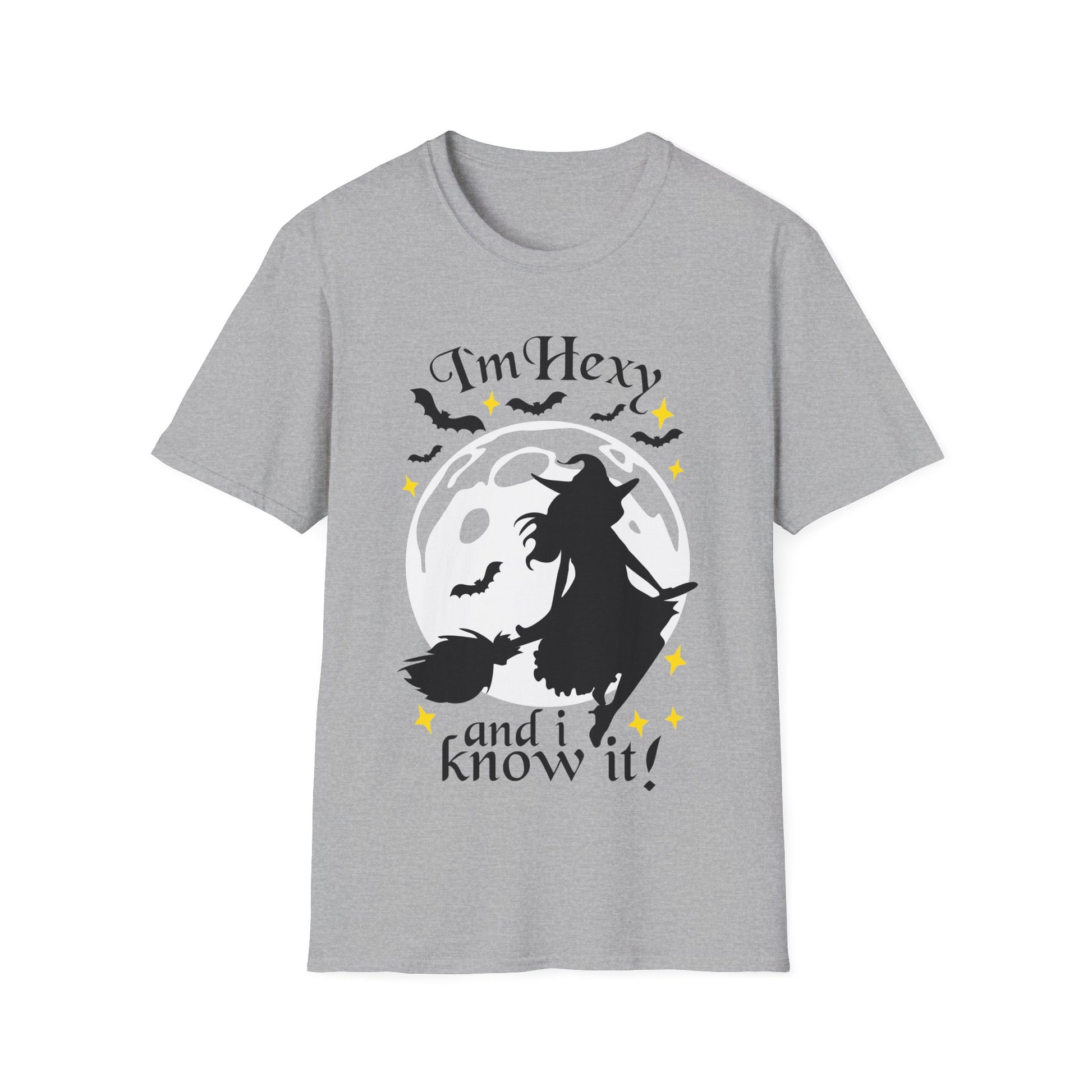 tshirt 'i'm hexy and i know it' doppeldeutig wortwitz basierend auf 'i'm sexy and i know it' hexe mystisch auf besen