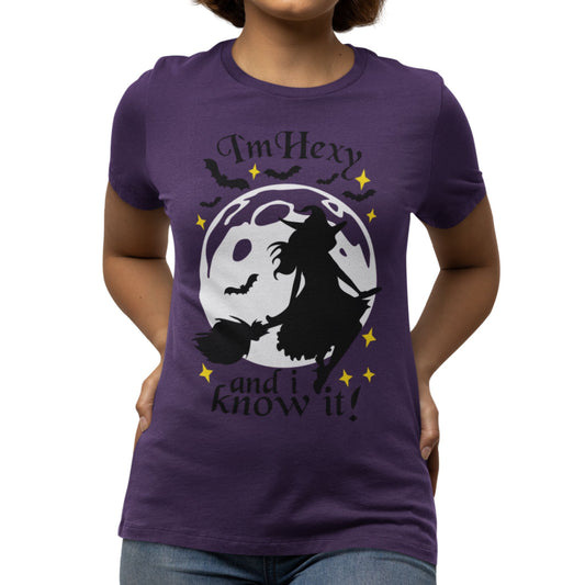 tshirt 'i'm hexy and i know it' doppeldeutig wortwitz basierend auf 'i'm sexy and i know it' hexe mystisch auf besen